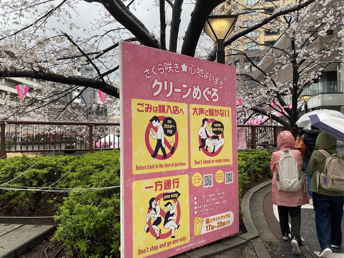 目黒川のお花見はマナーを守って