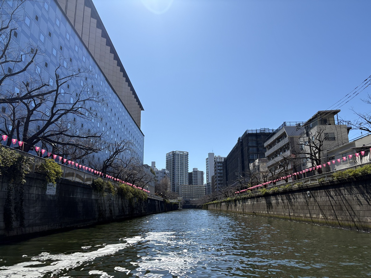 目黒川のぼんぼり