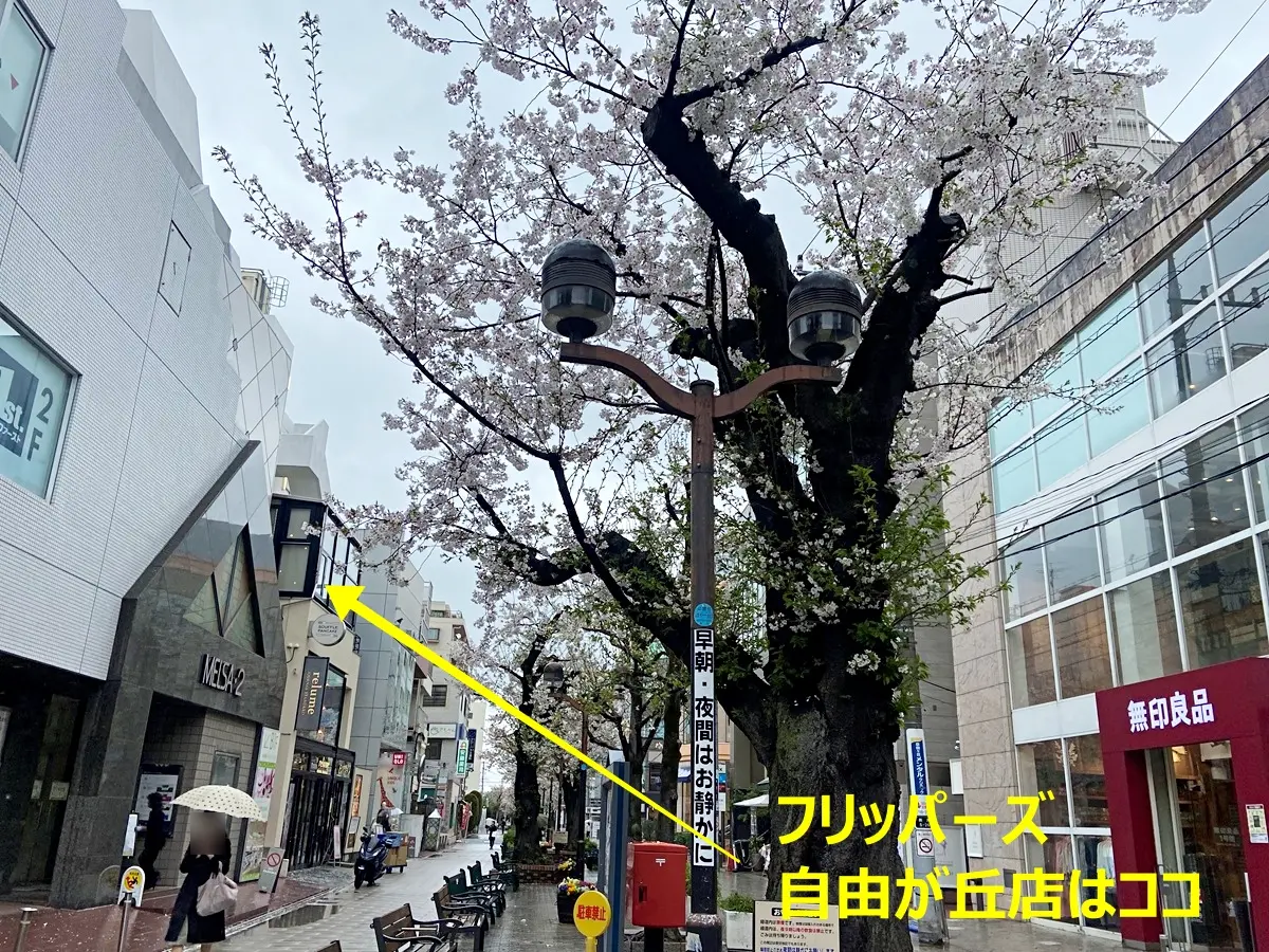 フリッパーズ自由が丘店は九品仏川緑道沿い