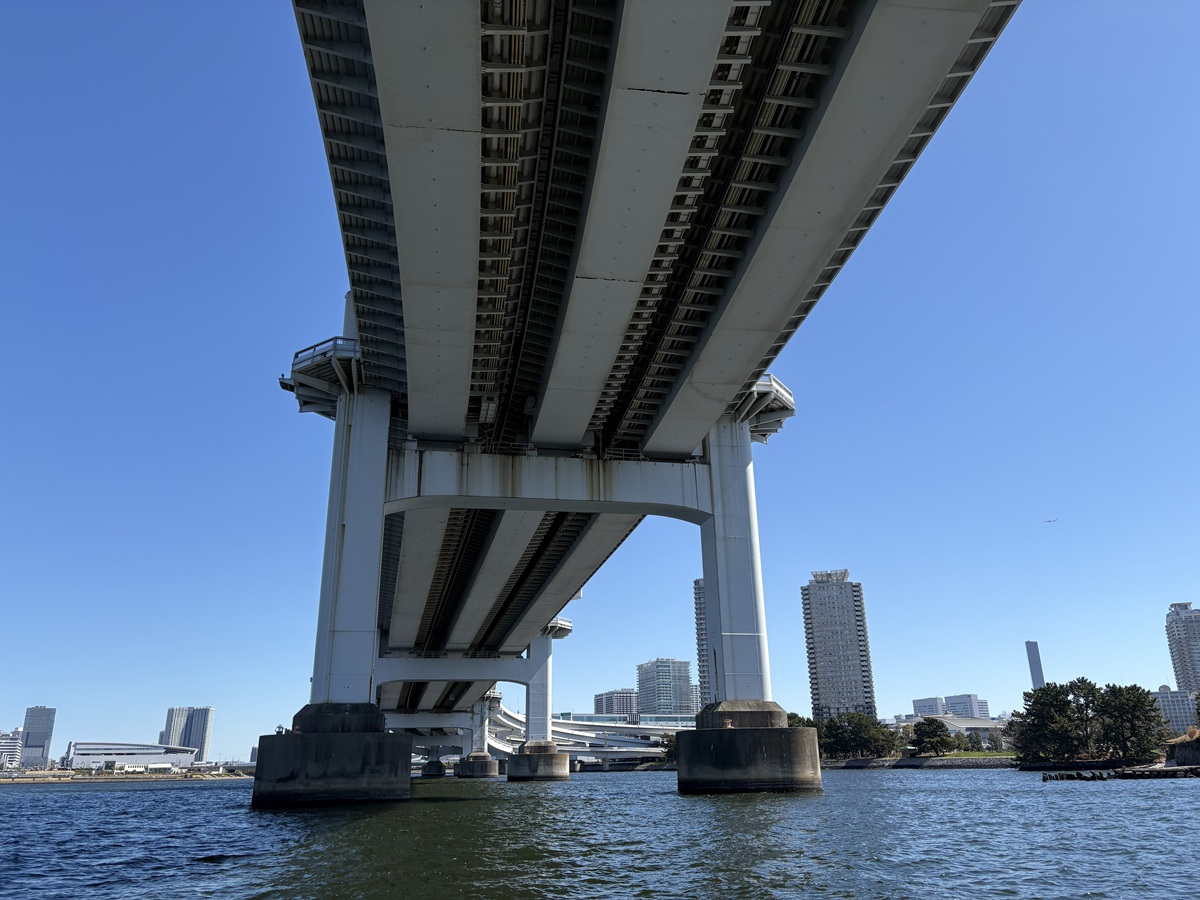 海面から仰ぎ見るレインボーブリッジ