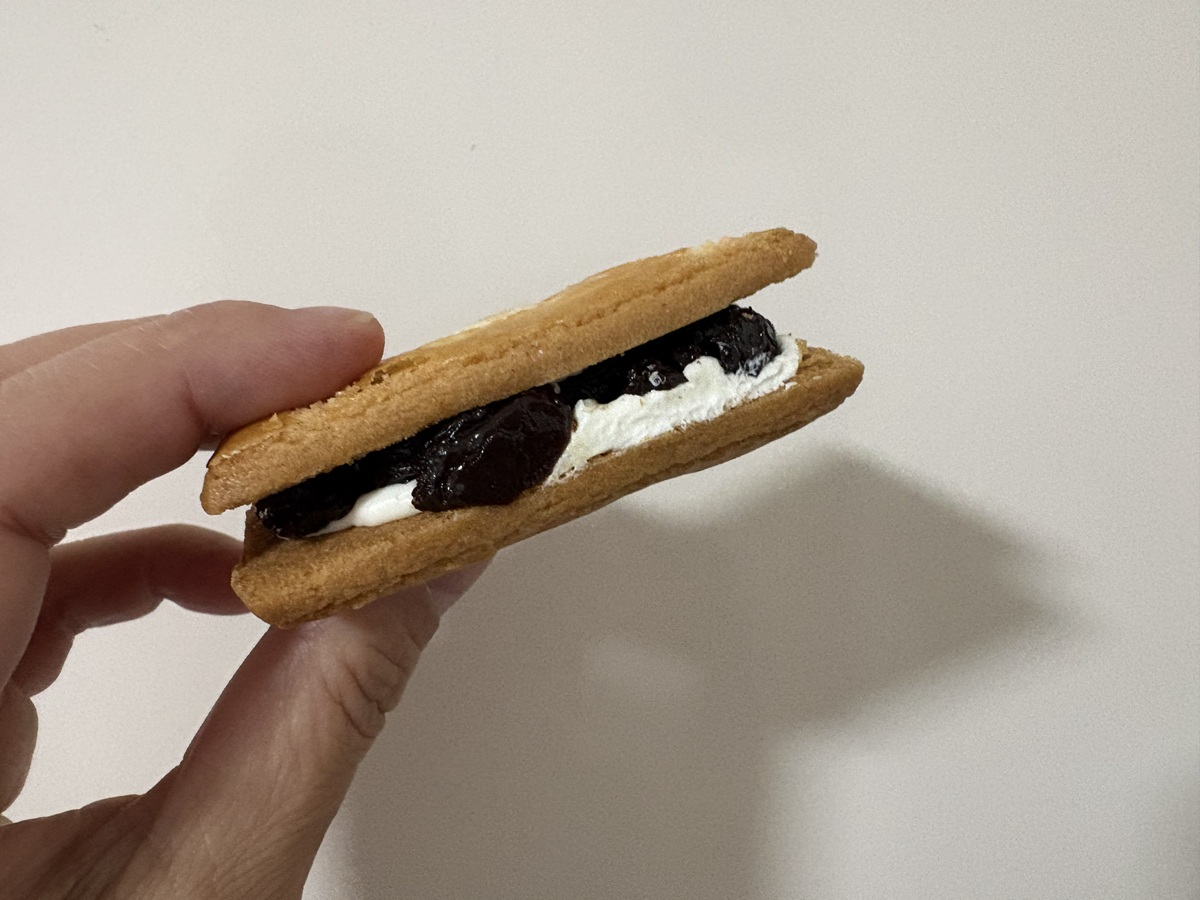 肉厚レーズンとクリームのハーモニー