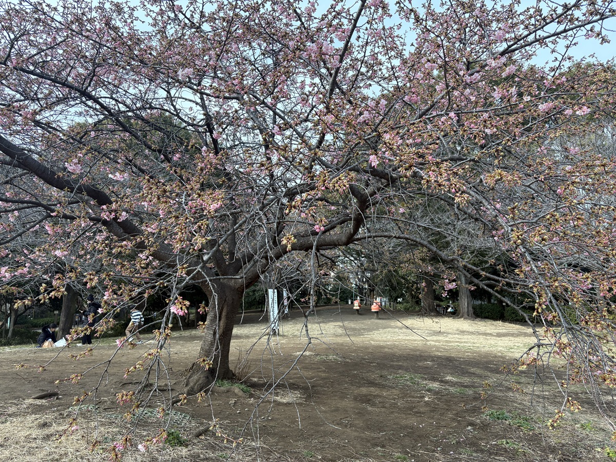西郷山公園