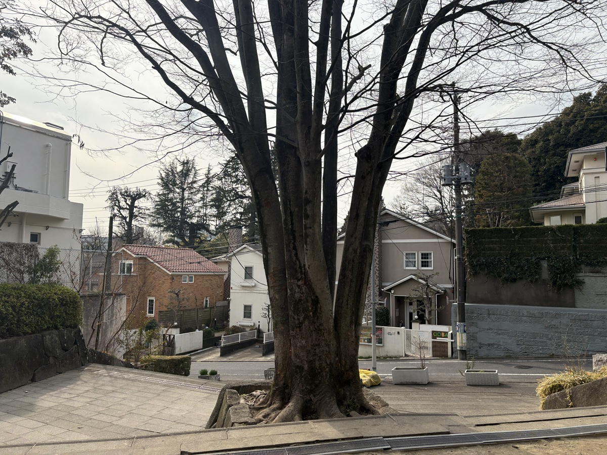 中目黒駅に近い入口