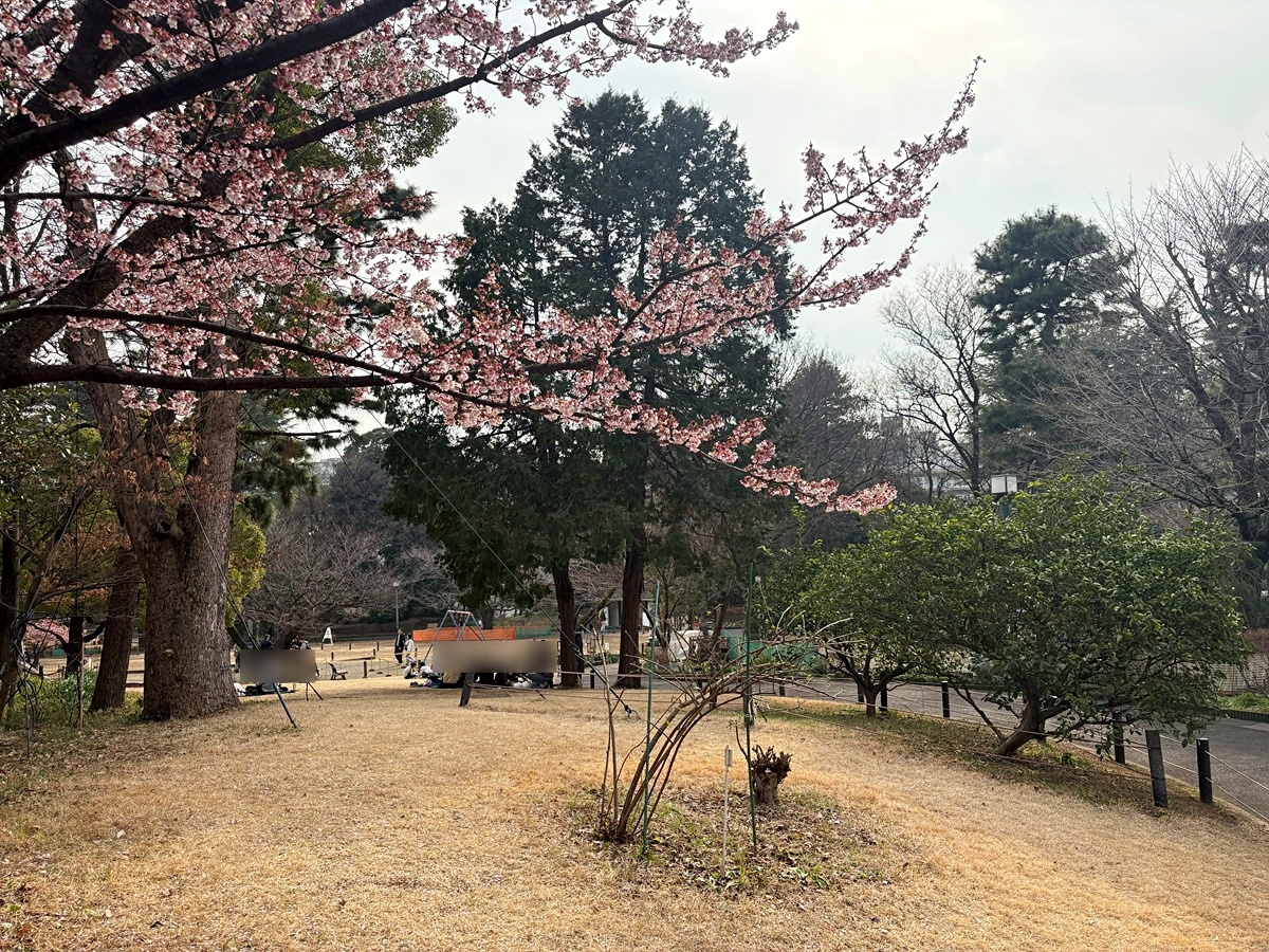 菅刈公園