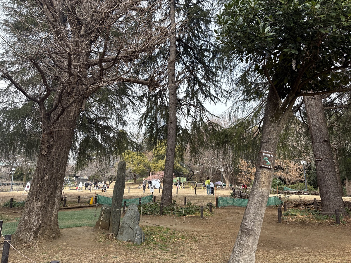 菅刈公園芝生広場