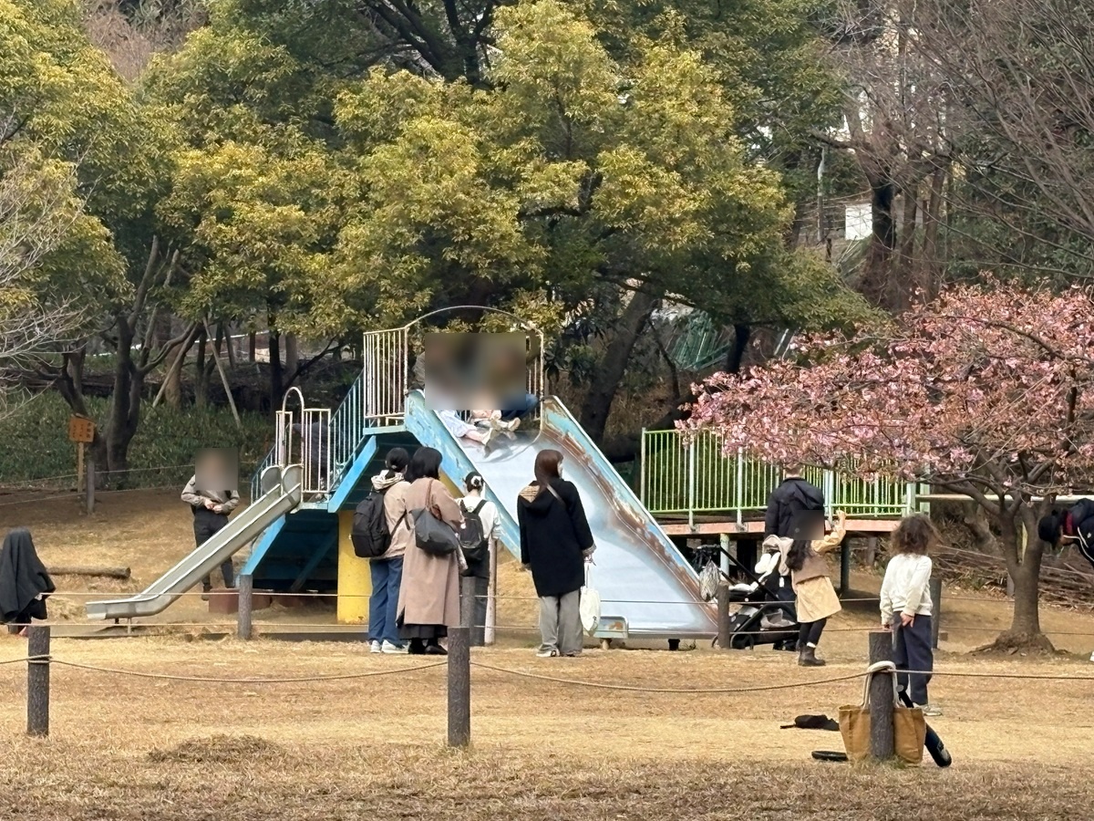 滑り台脇には河津桜