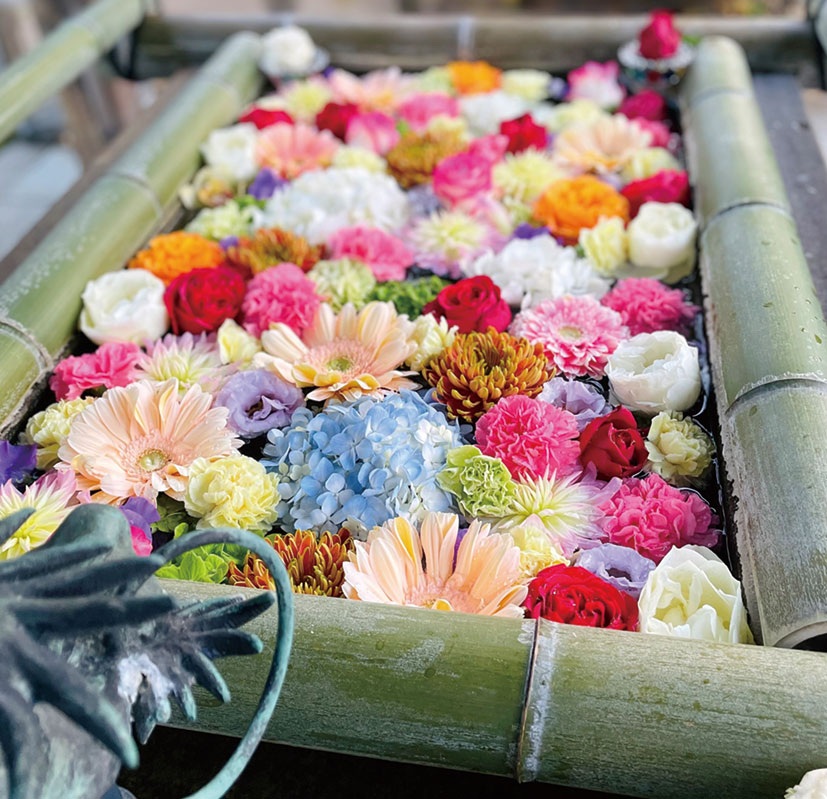 花手水が楽しめる