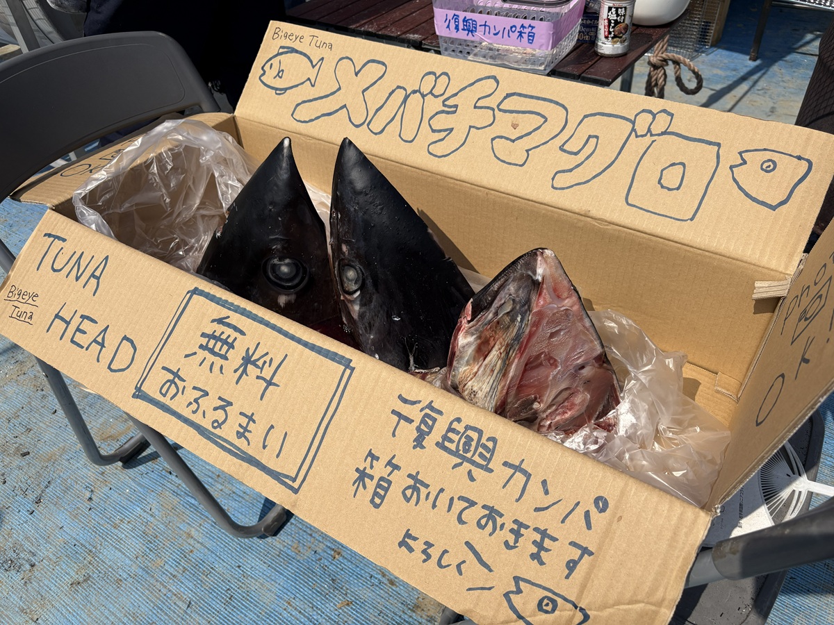 気仙沼物産展前に展示されてためばちマグロ