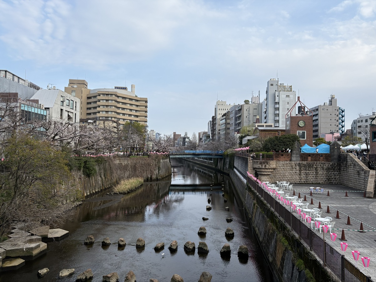目黒川船入場の様子