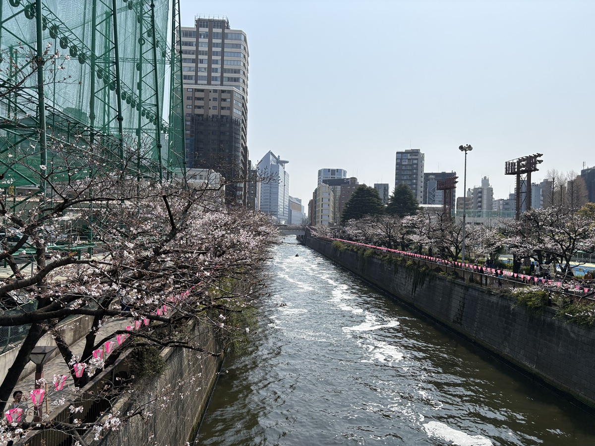 ふれあい橋からの眺め