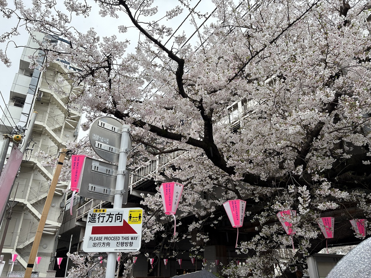 トライアンドエラーで試行錯誤