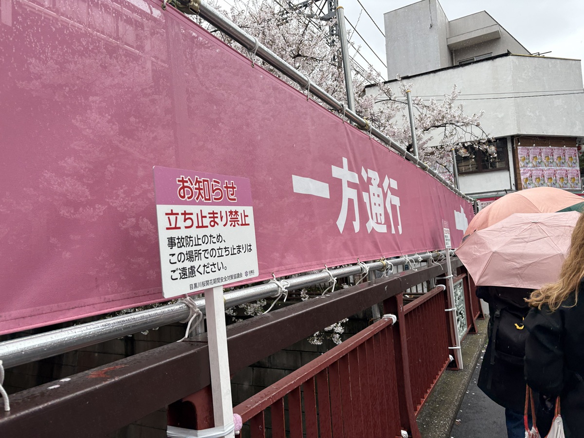 桜色の垂れ幕で目隠し