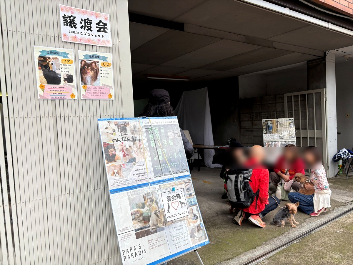 N.I.ミーティング