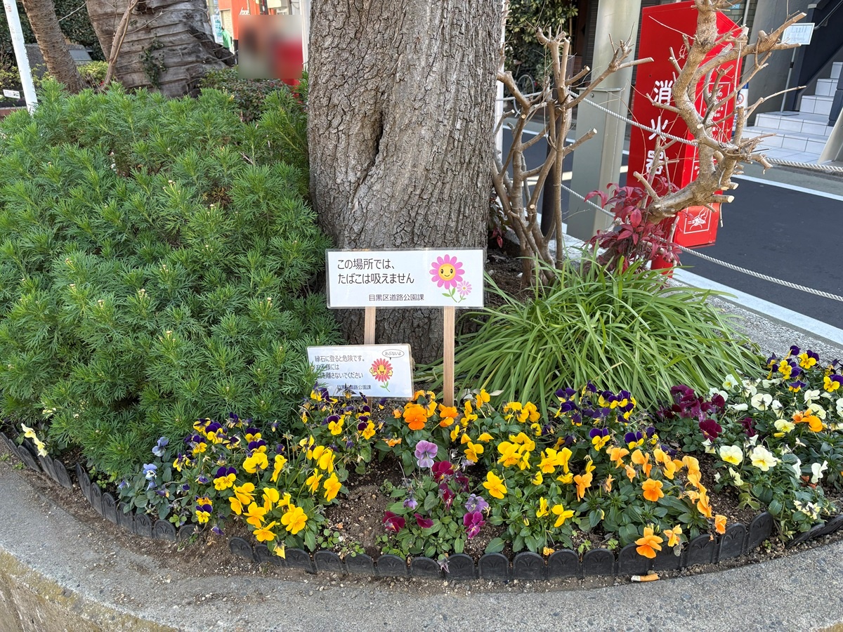 きれいな花壇も
