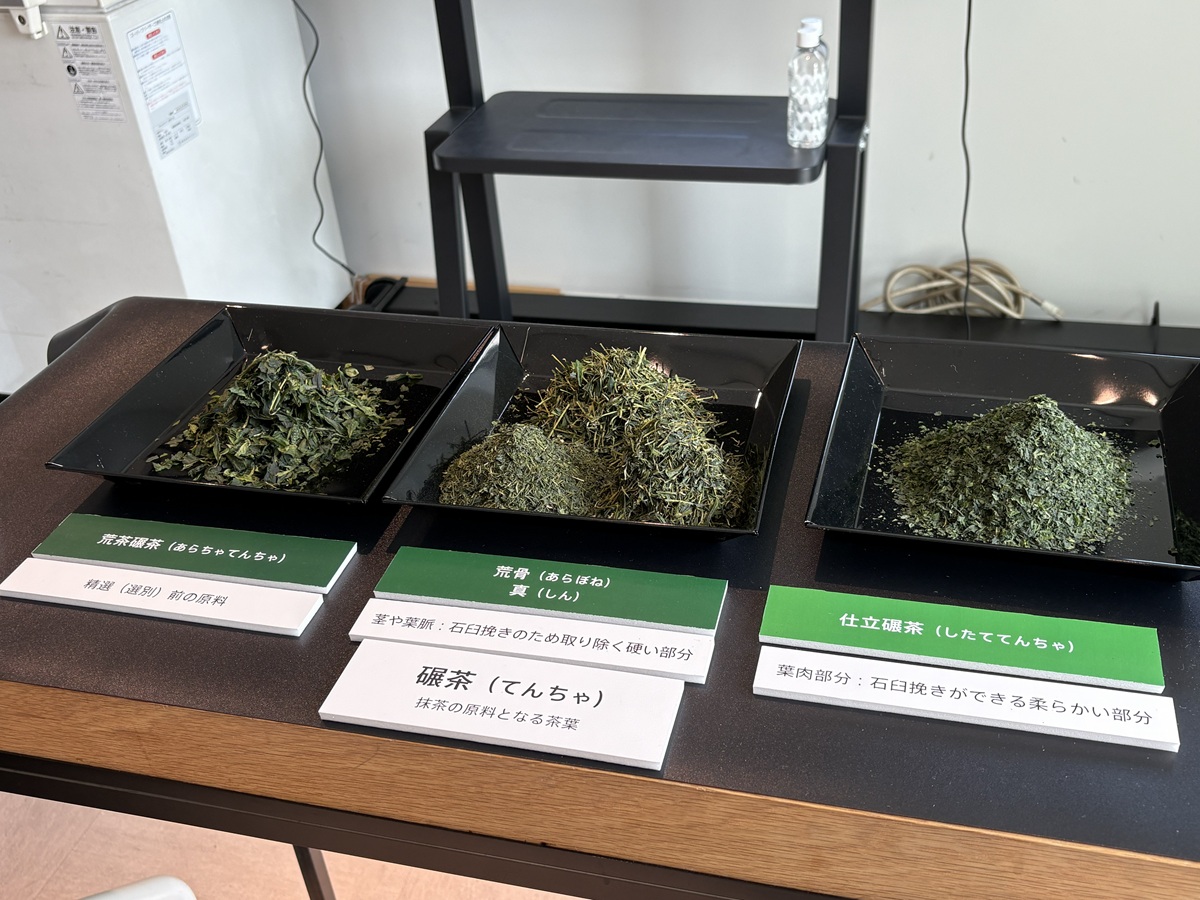 お茶が抹茶になるまでのプロセス