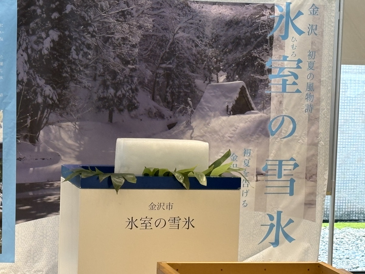 雪氷が溶けるまで展示