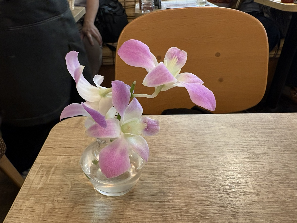 デンファレ