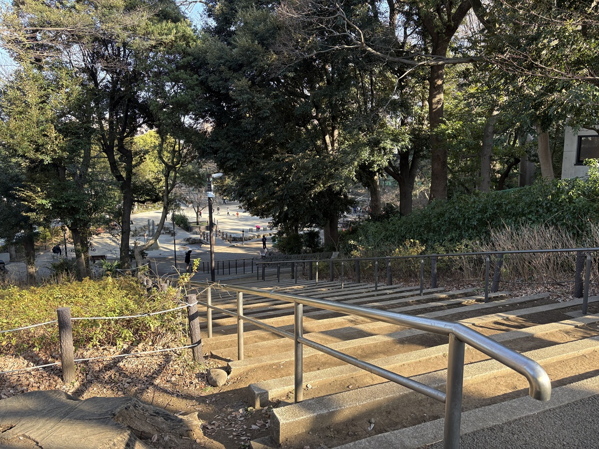 岡田の森につくられた公園