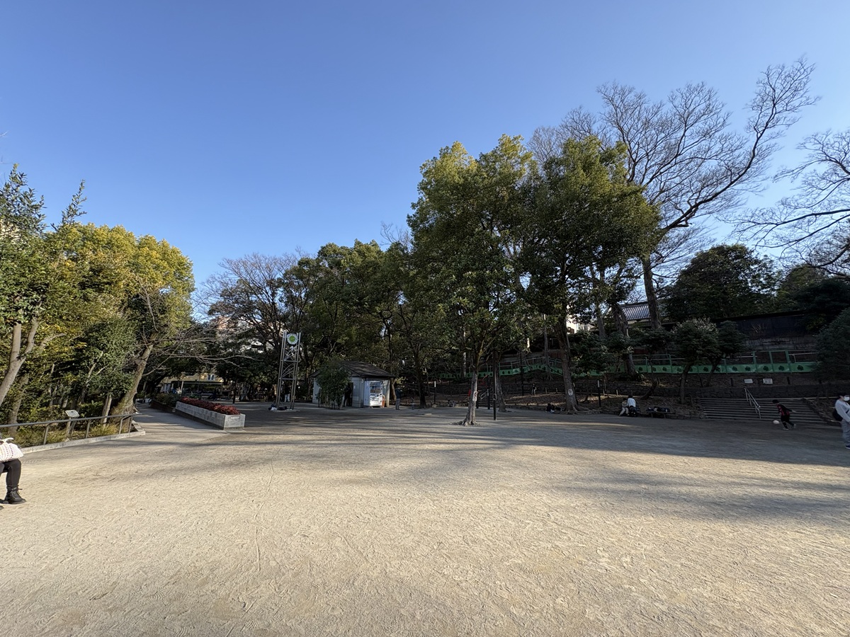 公園には広々とした広場