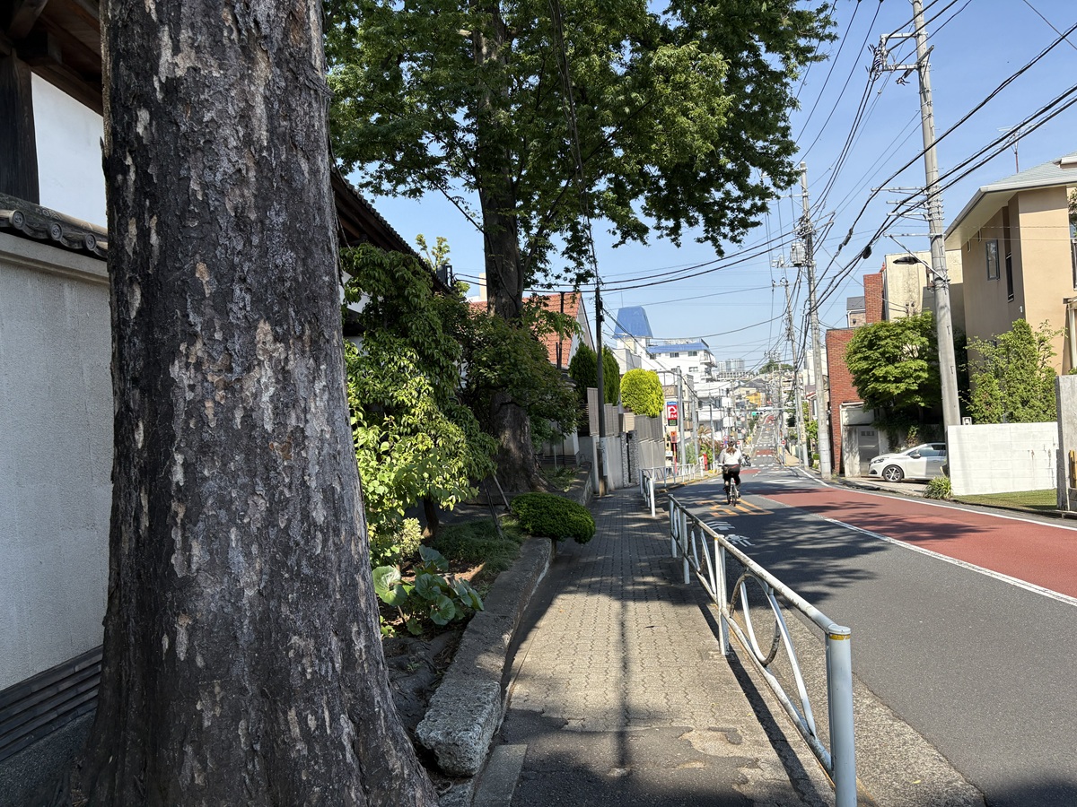 寺郷の坂
