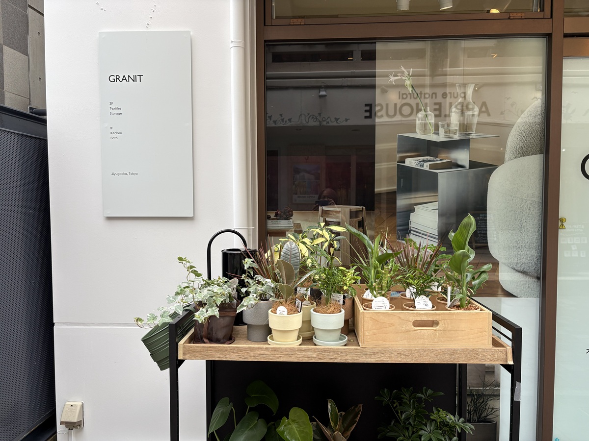 ミニ観葉植物もラインナップ