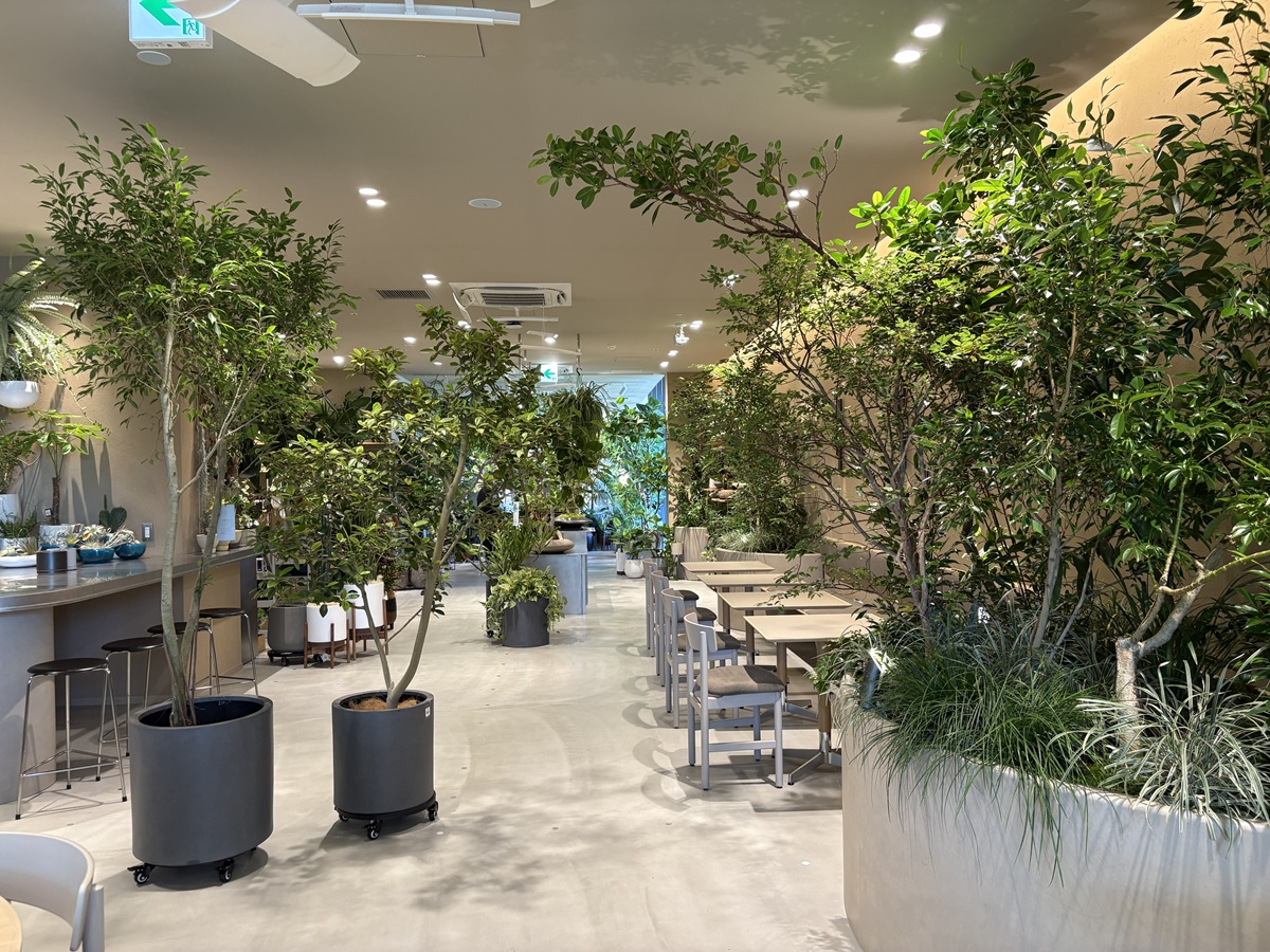 NODERIUM/SOHOLM CAFE