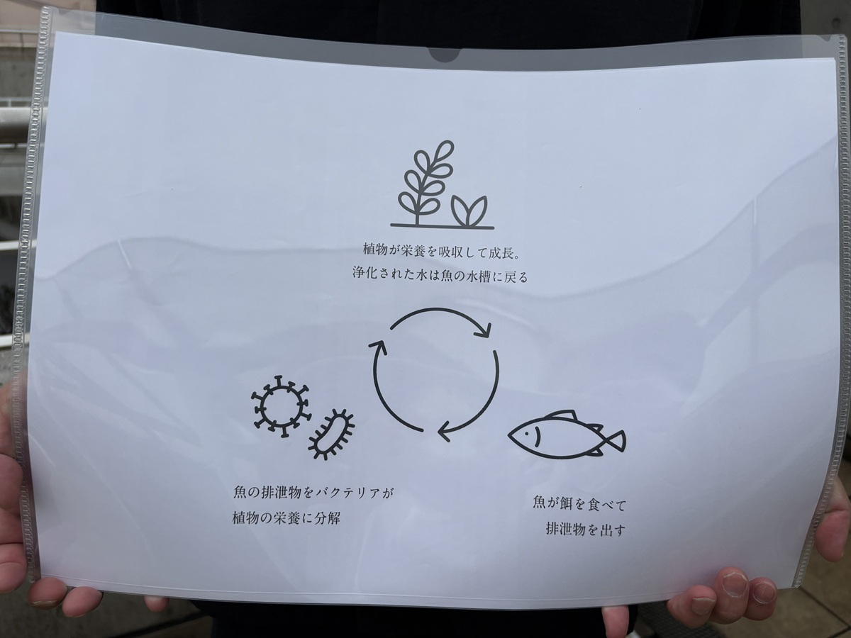 アグリコファーム循環の仕組み